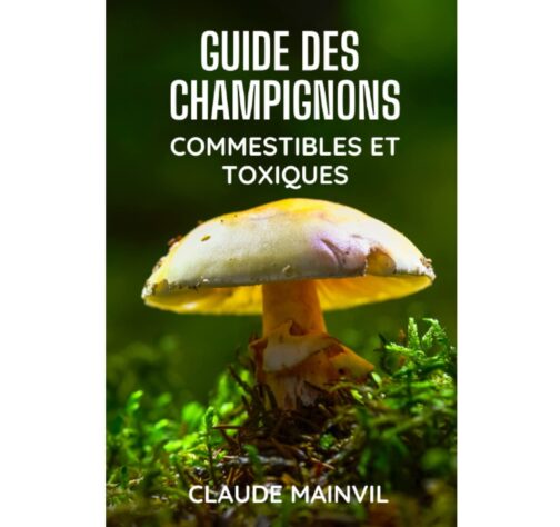 Guide champignons