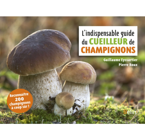 indispensable guide cueilleur champignons